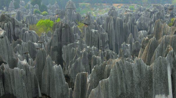 Каменный лес Шилинь