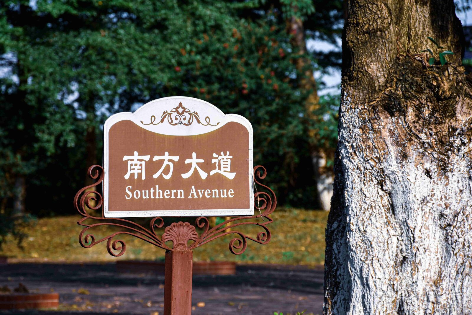 Chinglish: как говорят в современном Китае?